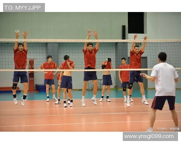 成都排球队的默契配合与战术探讨聚焦排球的团队精神与协作技巧