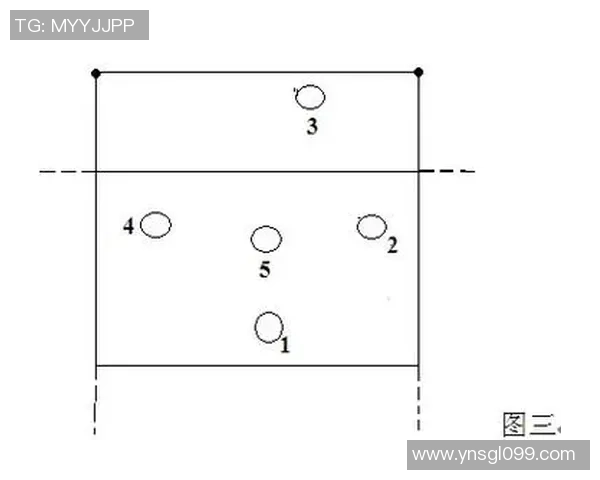 杭州排球队战术表现深度分析与数据解读探讨 杭州排球队战术表现深度分析与数据解读探讨