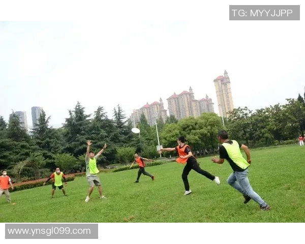 武汉飞盘队创历史新高展现耐力实力引领飞盘运动新风潮 武汉飞盘队创历史新高展现耐力实力引领飞盘运动新风潮