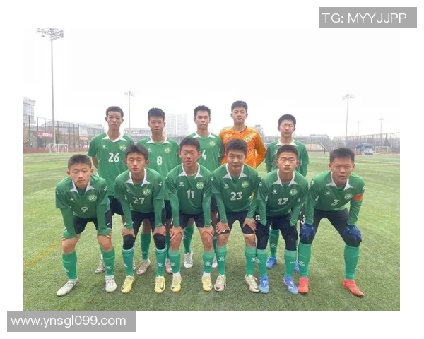 西安极限运动队实力分析与发展前景探讨