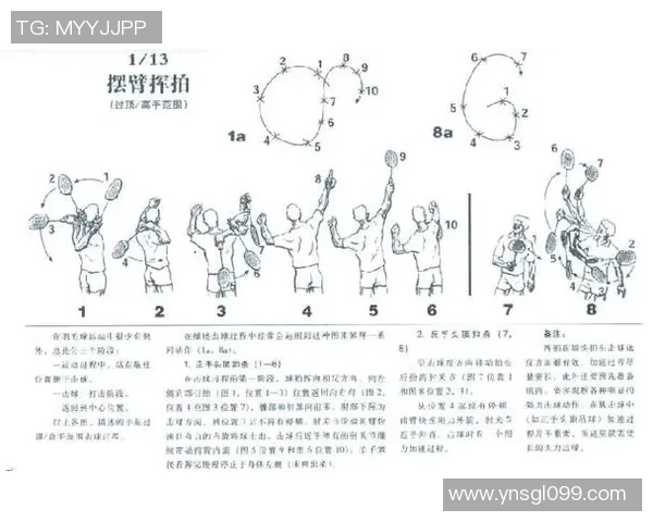 羽毛球的魅力与技巧:深入解析北京羽毛球队的灵活战术与训练秘诀 羽毛球的魅力与技巧:深入解析北京羽毛球队的灵活战术与训练秘诀
